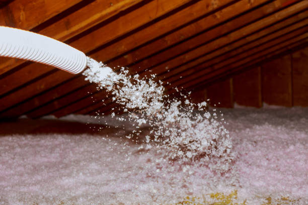 Best Spray Foam Insulation in Tuntutuli, AK
