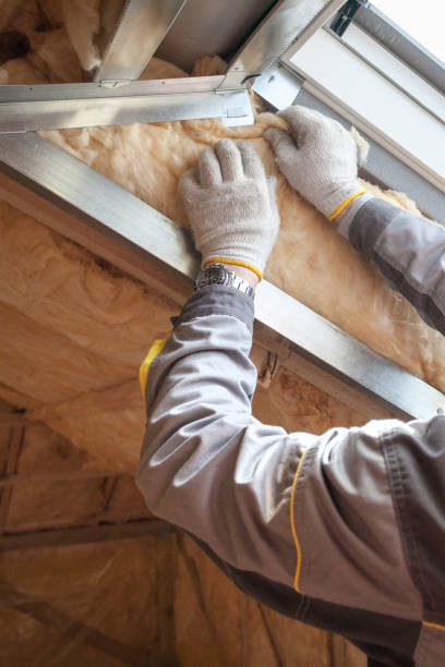 Best Geographic-Specific Insulation Services in Tuntutuli, AK