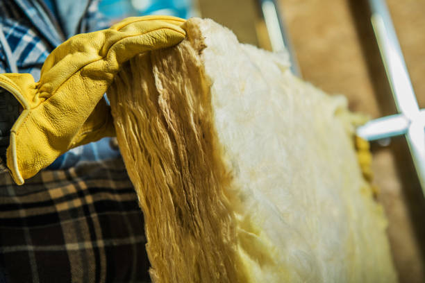 Best Specialized Insulation Services in Tuntutuli, AK
