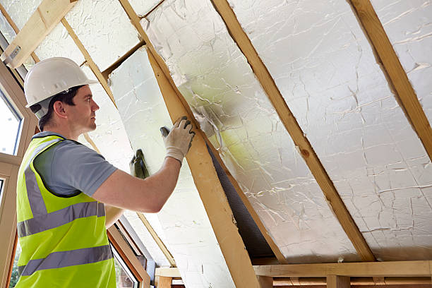 Best Insulation for Specific Applications in Tuntutuli, AK