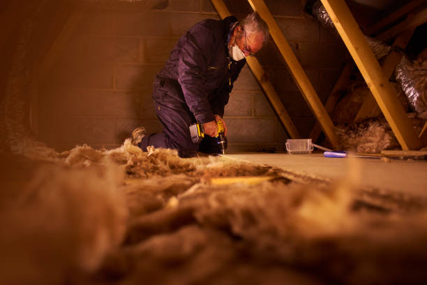 Best Residential Insulation in Tuntutuli, AK