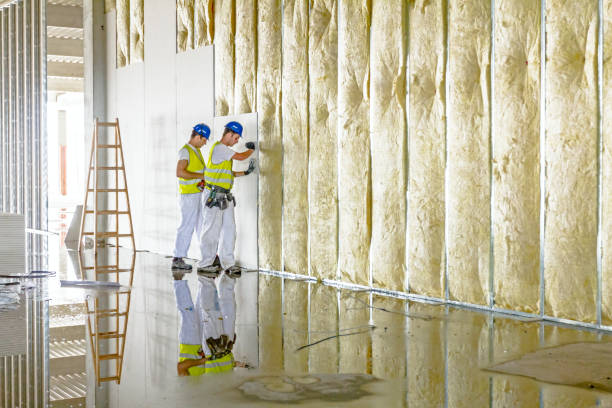 Best DIY Insulation Kits and Guidance in Tuntutuli, AK